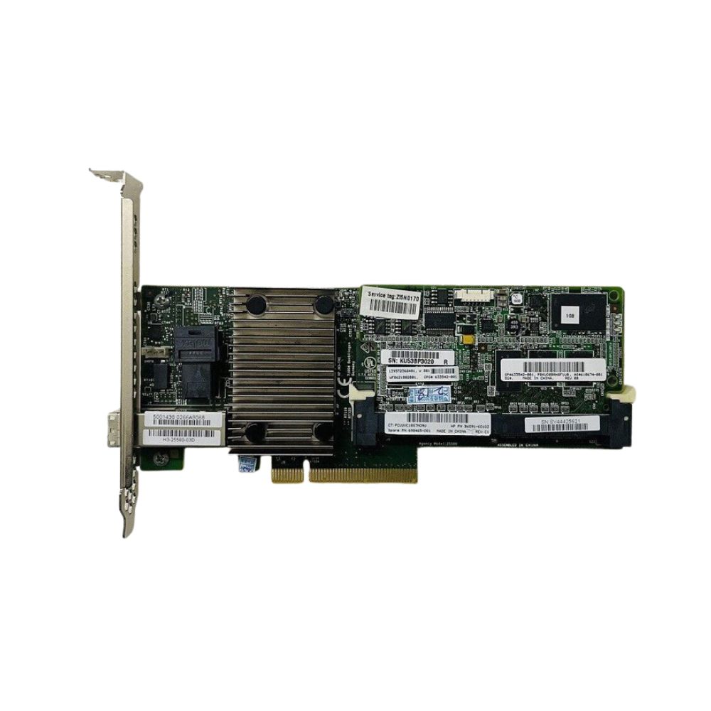 698465-001 | HPE P1224 4I/4E RAID 1 GB de caché FBW