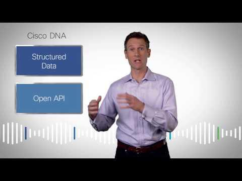 Jeff Reed, vicepresidente de SDN de Cisco